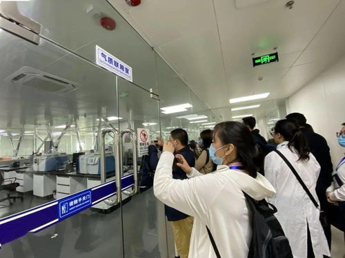 信息技術(shù)咨詢服務(wù)為落實‘六穩(wěn)六?！⑷霃妱艅恿?中國-東盟檢驗檢測認(rèn)證高技術(shù)服務(wù)集聚區(qū)賦能企業(yè)騰飛