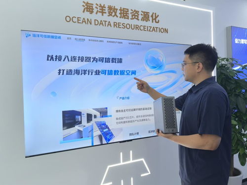 海上新山東 科技興海，信息技術(shù)咨詢服務(wù)助力蔚藍(lán)發(fā)展