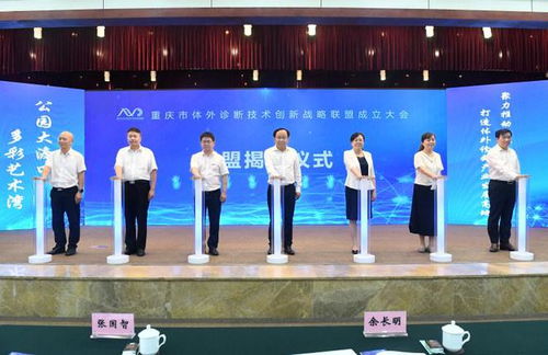 重慶市體外診斷技術(shù)創(chuàng)新戰(zhàn)略聯(lián)盟成立，以信息技術(shù)服務(wù)為引擎，助力打造全國產(chǎn)業(yè)發(fā)展高地